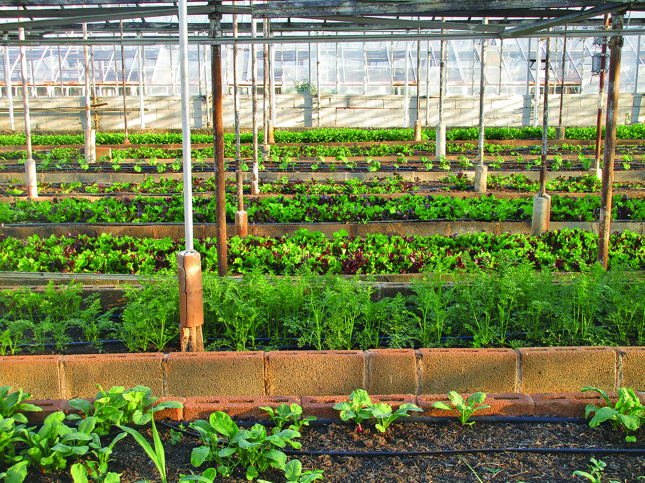 The Benefits of Sustainable Farming Practices